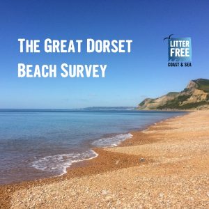 Great Dorset Beach Survey